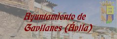 Gavilanes